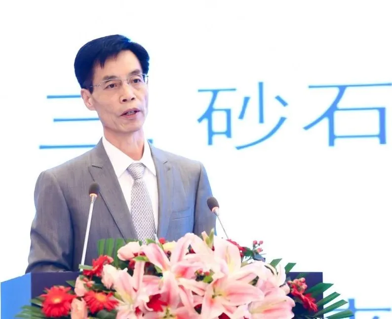 主旨報告 | 胡幼奕以國際化視角，提出固廢綜合利用和生態(tài)環(huán)境修復(fù)新思路