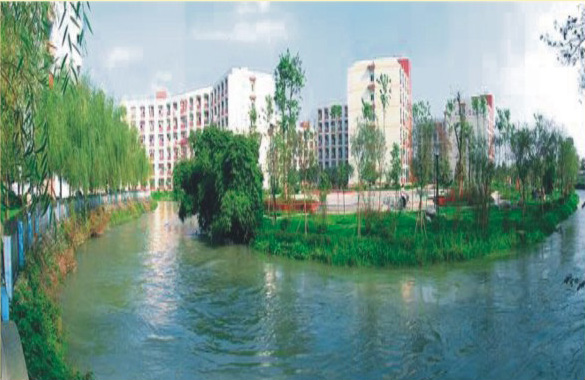 1540388267916010244.jpg 180425151235450114501979.jpg